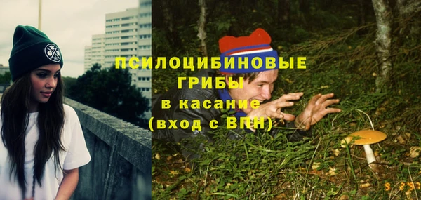 хмурый Алзамай