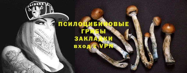 хмурый Алзамай
